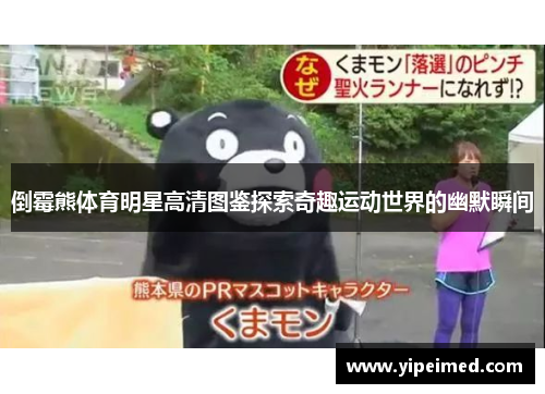 倒霉熊体育明星高清图鉴探索奇趣运动世界的幽默瞬间