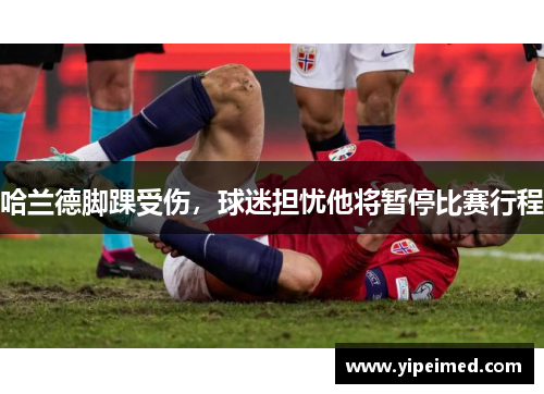 哈兰德脚踝受伤，球迷担忧他将暂停比赛行程