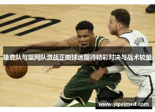 雄鹿队与篮网队激战正酣球迷期待精彩对决与战术较量